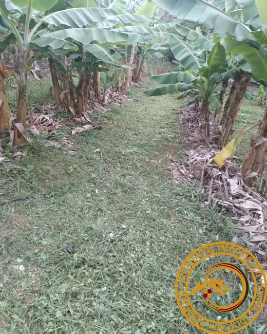 Foto 4 de Sítio / Rancho com 4 quartos à venda em Boituva - SP