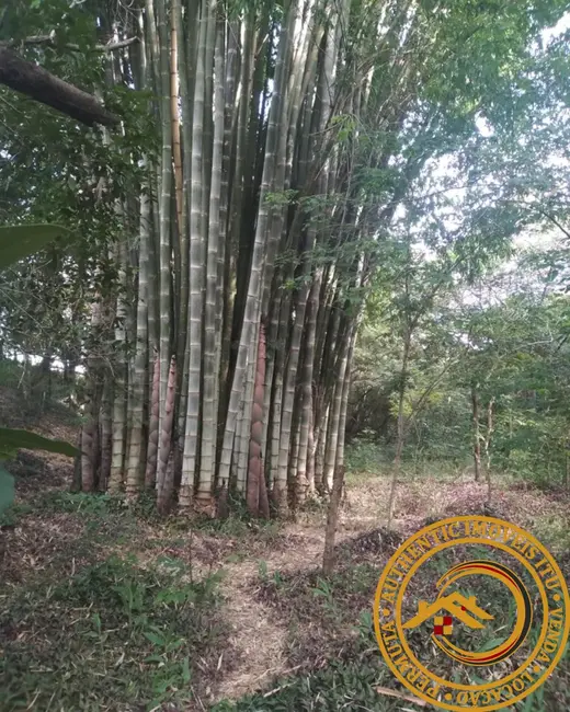 Foto 9 de Sítio / Rancho com 4 quartos à venda em Boituva - SP