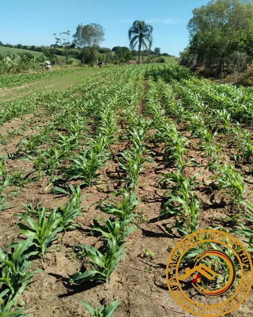 Foto 5 de Sítio / Rancho com 4 quartos à venda em Boituva - SP