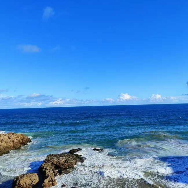 Foto 7 de Apartamento com 4 quartos à venda, 306m2 em Ondina, Salvador - BA