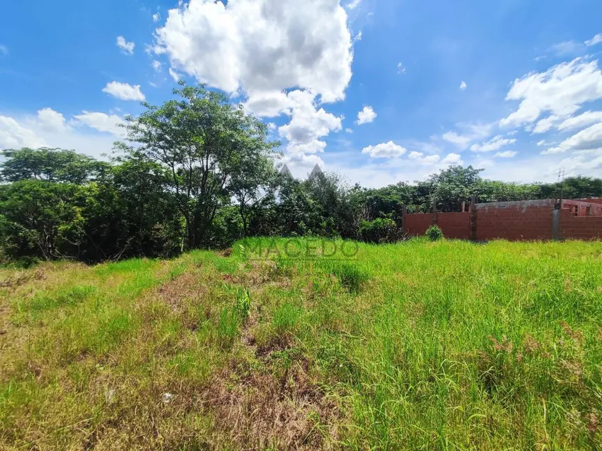 Foto 2 de Terreno / Lote à venda em Cesario Lange - SP