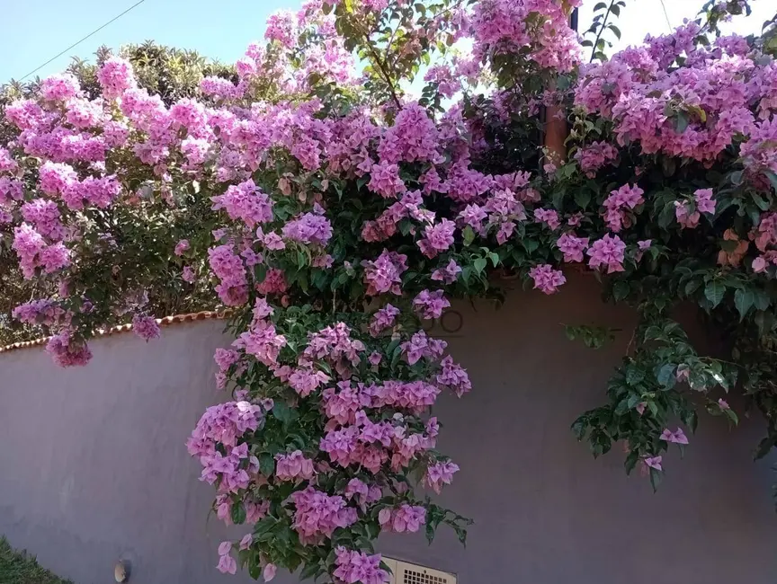 Foto 1 de Casa com 3 quartos à venda, 2000m2 em Jardim Gramado, Tatui - SP