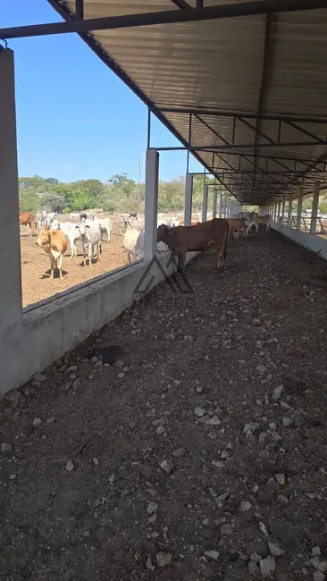 Foto 8 de Sítio / Rancho à venda, 14m2 em Centro, Cesario Lange - SP