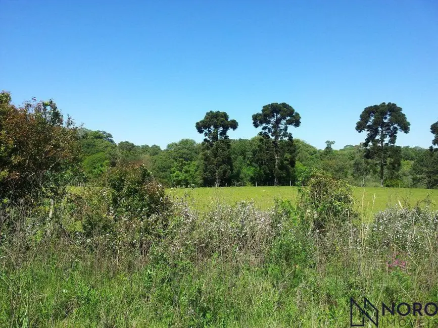 Foto 2 de Terreno / Lote à venda, 23400m2 em Itaara - RS