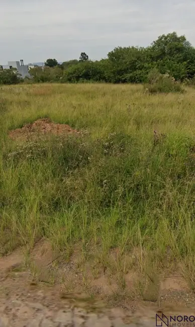 Foto 3 de Terreno / Lote à venda, 444m2 em Camobi, Santa Maria - RS