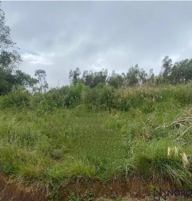 Foto 1 de Terreno / Lote à venda, 1000m2 em Itaara - RS