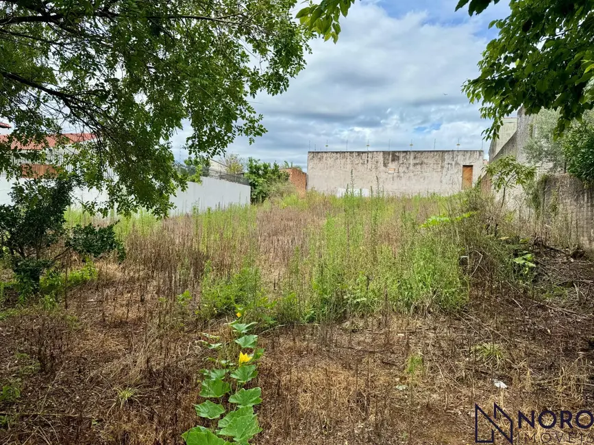 Foto 1 de Terreno / Lote à venda, 747m2 em Sao Sepe - RS