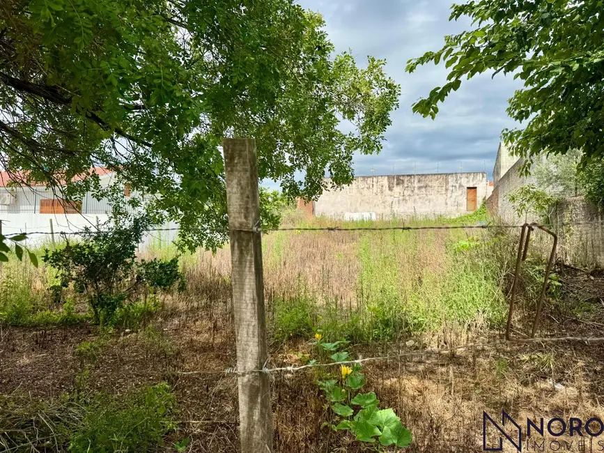 Foto 4 de Terreno / Lote à venda, 747m2 em Sao Sepe - RS