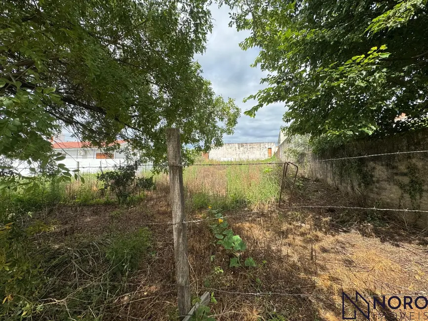 Foto 2 de Terreno / Lote à venda, 747m2 em Sao Sepe - RS
