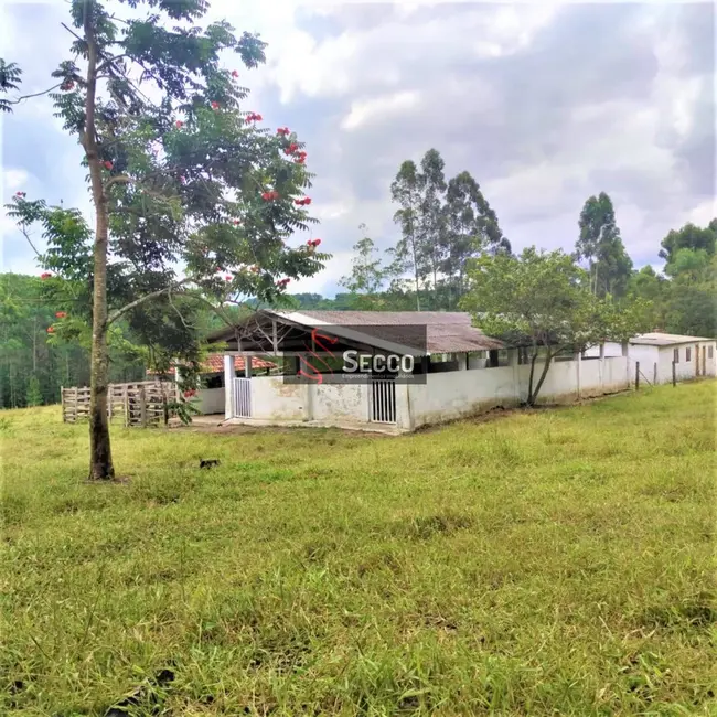 Foto 8 de Fazenda / Haras com 4 quartos à venda, 13000m2 em Bofete - SP