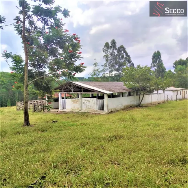 Fazenda / Haras com 4 quartos à venda, 13000m2 em Bofete - SP - imagem 8 Foto 8 de Fazenda / Haras com 4 quartos à venda, 13000m2 em Bofete - SP