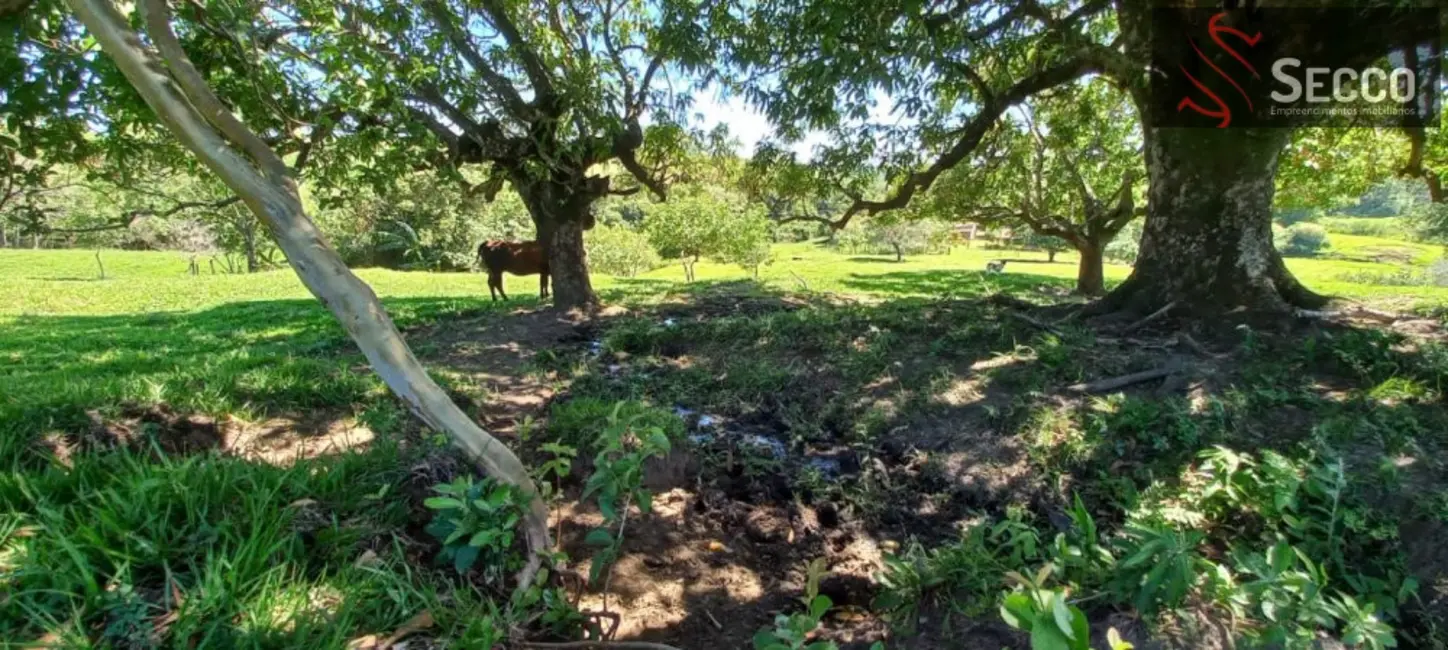 Foto 7 de Fazenda / Haras com 3 quartos à venda, 1050m2 em Botucatu - SP