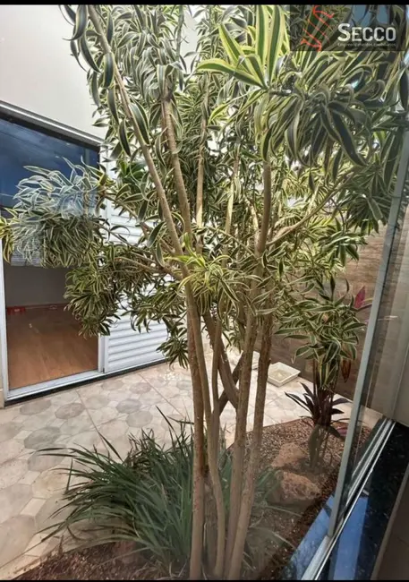 Foto 9 de Casa com 3 quartos à venda, 1050m2 em Botucatu - SP