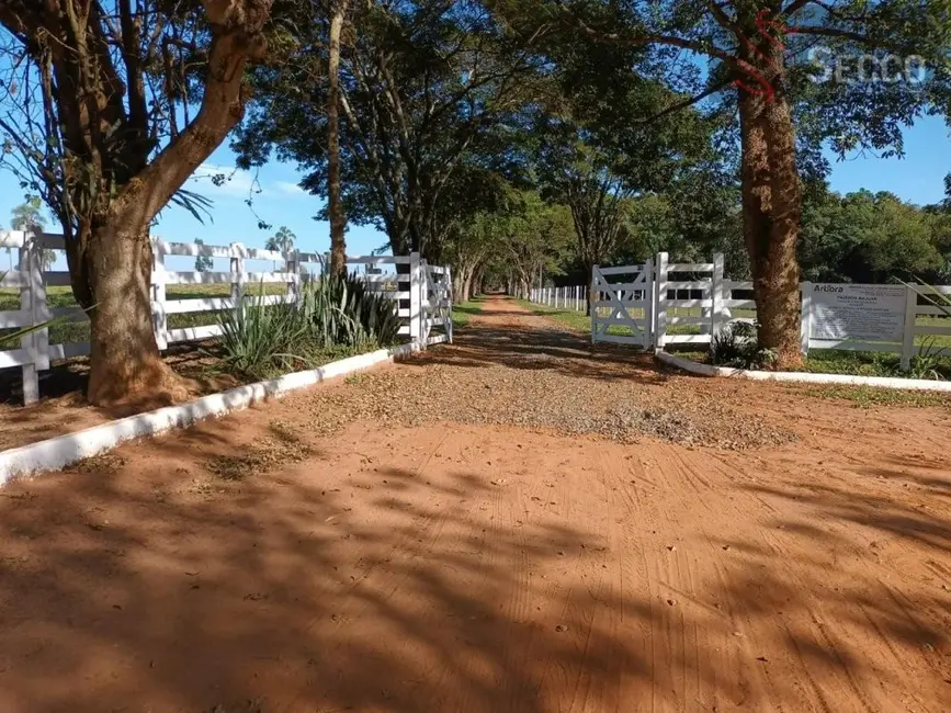 Foto 2 de Fazenda / Haras com 3 quartos à venda, 1050m2 em Centro, Avare - SP