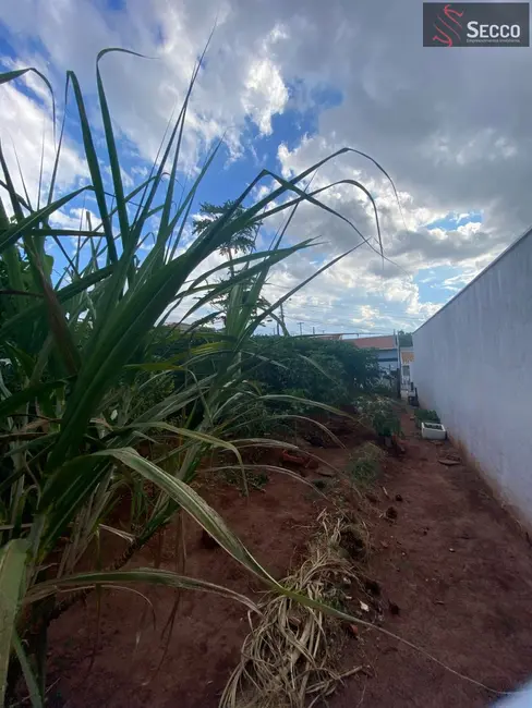 Foto 3 de Terreno / Lote à venda, 250m2 em Botucatu - SP