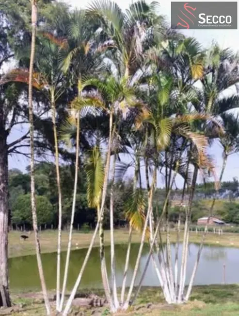 Foto 6 de Chácara com 3 quartos à venda, 1050m2 em Botucatu - SP