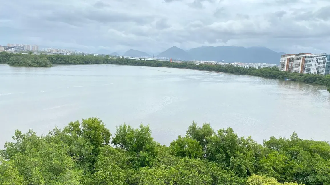 Foto 9 de Apartamento com 4 quartos à venda, 307m2 em Rio De Janeiro - RJ