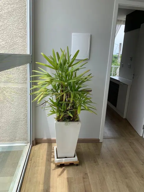 Casa de Condomínio com 3 quartos à venda, 160m2 em Loteamento Villaggio di San Francisco, Jundiai - SP - imagem 5 Foto 5 de Casa de Condomínio com 3 quartos à venda, 160m2 em Loteamento Villaggio di San Francisco, Jundiai - SP