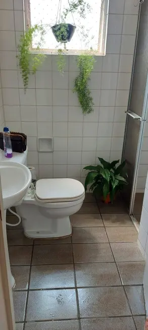 Foto 3 de Apartamento com 3 quartos à venda, 69m2 em Residencial Terra da Uva, Jundiai - SP