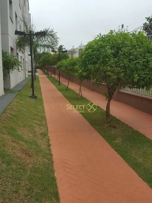 Apartamento com 2 quartos à venda, 45m2 em Vila Oliveira, Aparecida De Goiania - GO - imagem 9 Foto 9 de Apartamento com 2 quartos à venda, 45m2 em Vila Oliveira, Aparecida De Goiania - GO