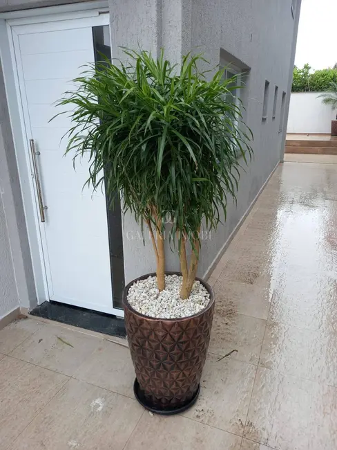 Foto 8 de Casa com 3 quartos à venda, 130m2 em Itanhaem - SP