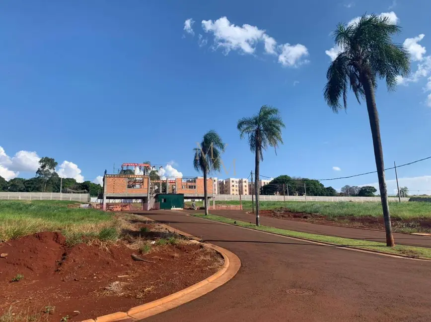 Terreno / Lote à venda, 546m2 em Marumbi, Londrina - PR - imagem 6 Foto 6 de Terreno / Lote à venda, 546m2 em Marumbi, Londrina - PR