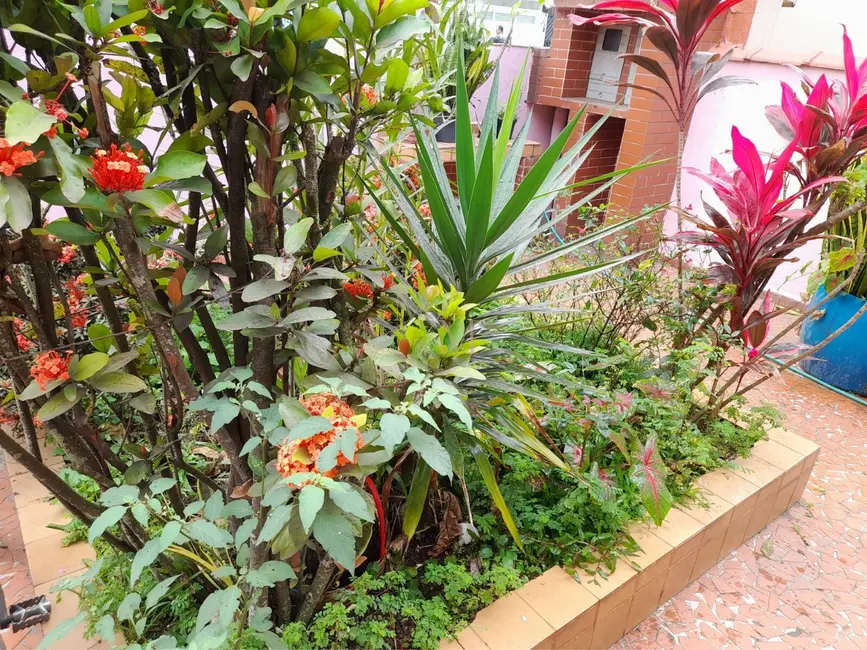 Casa com 4 quartos à venda, 300m2 em Ponta da Praia, Santos - SP - imagem 4 Foto 4 de Casa com 4 quartos à venda, 300m2 em Ponta da Praia, Santos - SP