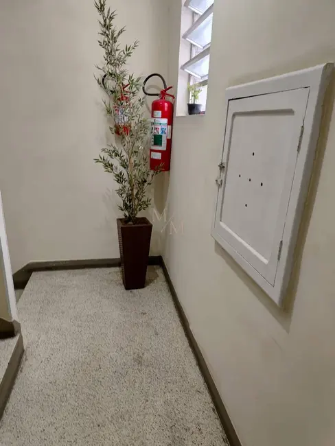 Apartamento com 3 quartos à venda, 81m2 em Campo Grande, Santos - SP - imagem 3 Foto 3 de Apartamento com 3 quartos à venda, 81m2 em Campo Grande, Santos - SP