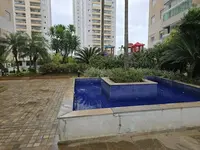 Imagem 30