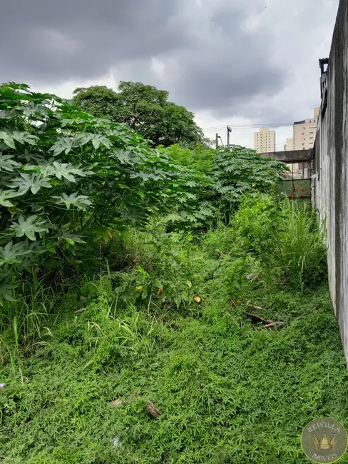 Foto 4 de Terreno / Lote para alugar, 1330m2 em Vila Carrão, São Paulo - SP