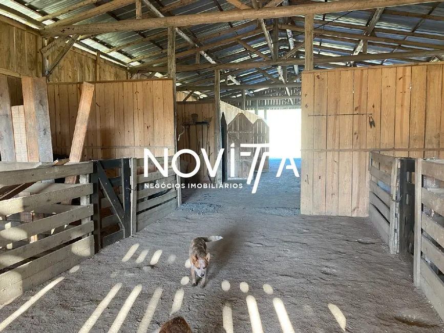 Fazenda / Haras com 2 quartos à venda em Rodeio - SC - imagem 5 Foto 5 de Fazenda / Haras com 2 quartos à venda em Rodeio - SC