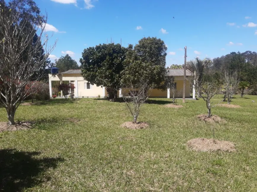 Chácara com 2 quartos à venda, 305m2 em Itapetininga - SP - imagem 7 Foto 7 de Chácara com 2 quartos à venda, 305m2 em Itapetininga - SP