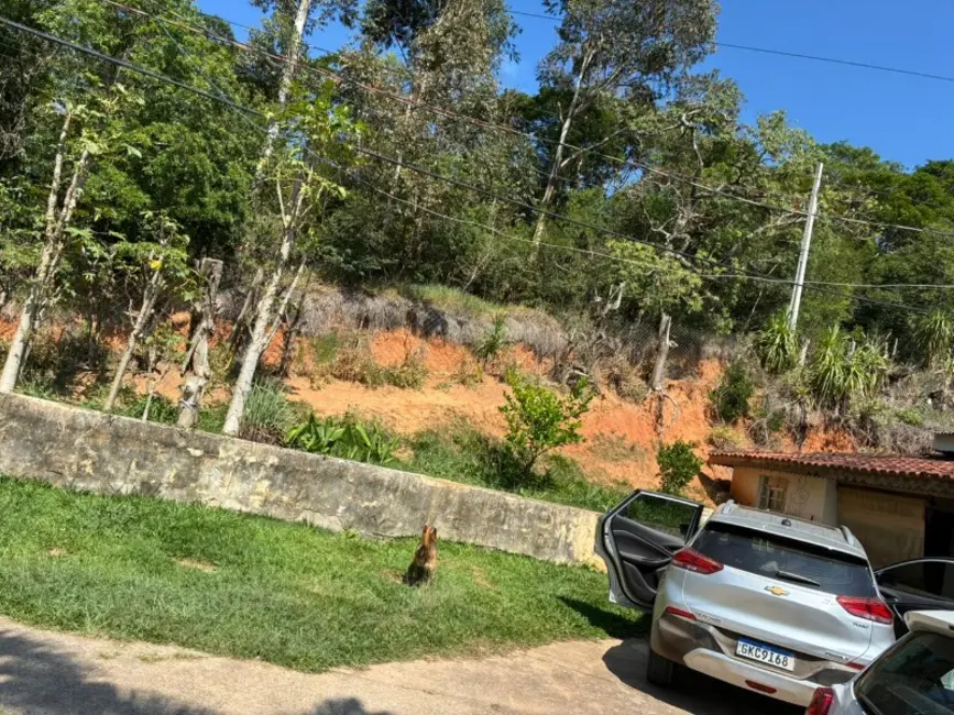 Foto 5 de Chácara com 3 quartos à venda, 230m2 em Pinhalzinho - SP