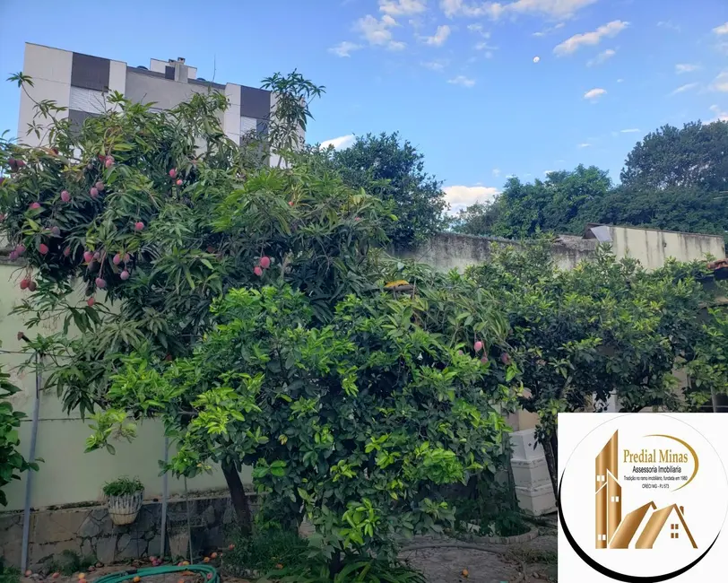 Casa com 3 quartos à venda, 400m2 em Sagrada Família, Belo Horizonte - MG - imagem 5 Foto 5 de Casa com 3 quartos à venda, 400m2 em Sagrada Família, Belo Horizonte - MG