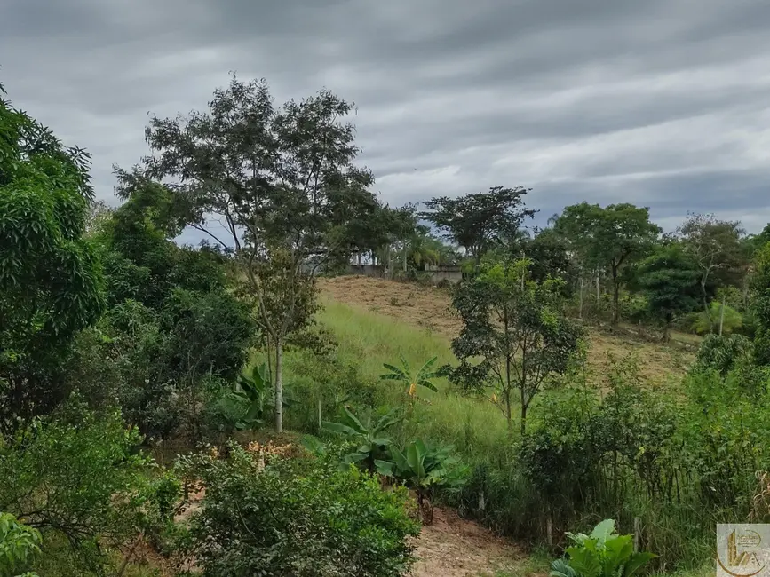 Foto 9 de Terreno / Lote à venda, 7700m2 em Fazendinha do Barão, Santa Luzia - MG
