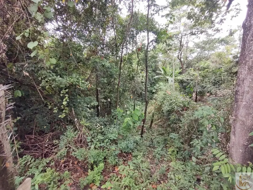 Foto 7 de Terreno / Lote à venda, 7700m2 em Fazendinha do Barão, Santa Luzia - MG