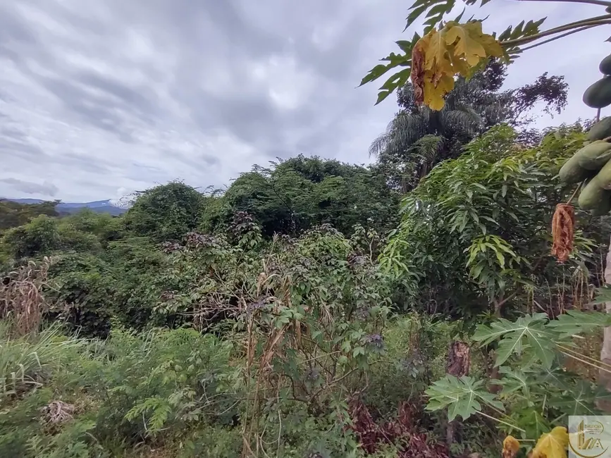 Foto 6 de Terreno / Lote à venda, 7700m2 em Fazendinha do Barão, Santa Luzia - MG