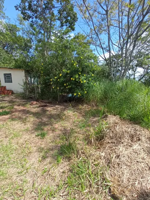 Foto 2 de Sítio / Rancho com 4 quartos à venda, 19745m2 em Bonanza, Santa Luzia - MG