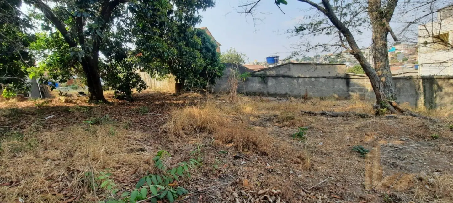 Terreno / Lote à venda, 671m2 em Jaqueline, Belo Horizonte - MG - imagem 8 Foto 8 de Terreno / Lote à venda, 671m2 em Jaqueline, Belo Horizonte - MG