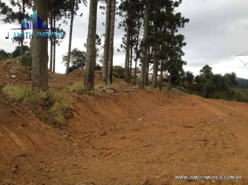 Foto 4 de Terreno / Lote à venda, 2743m2 em Jardim Sandra, Cotia - SP