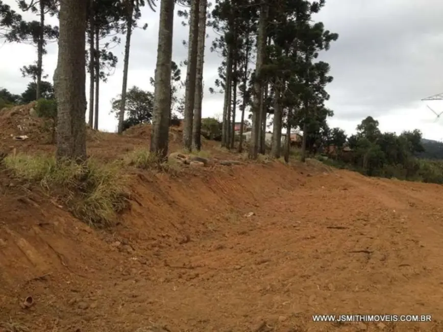Foto 4 de Terreno / Lote à venda, 2743m2 em Jardim Sandra, Cotia - SP