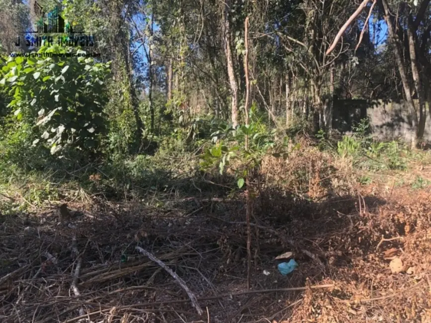 Foto 7 de Lote de Condomínio à venda, 500m2 em Paisagem Renoir, Cotia - SP