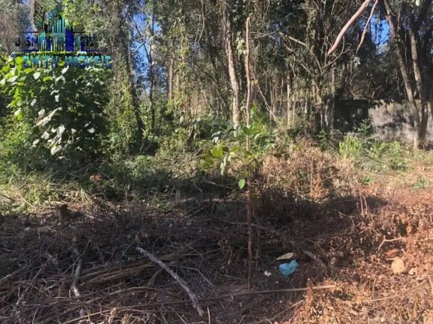 Foto 7 de Lote de Condomínio à venda, 500m2 em Paisagem Renoir, Cotia - SP