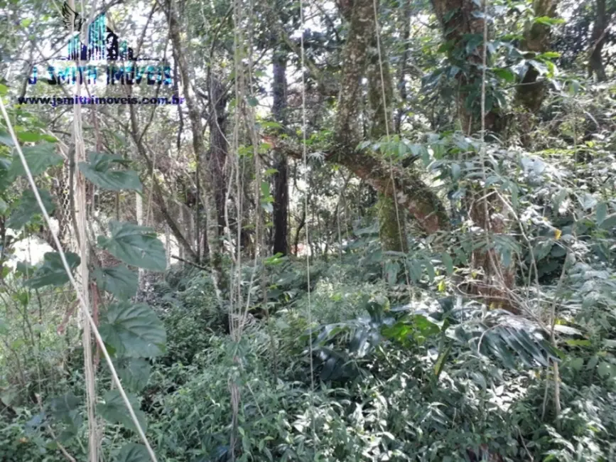 Foto 4 de Lote de Condomínio à venda, 525m2 em Gramado, Cotia - SP