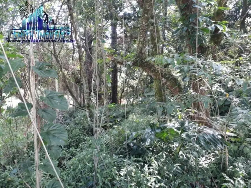 Foto 4 de Lote de Condomínio à venda, 525m2 em Gramado, Cotia - SP