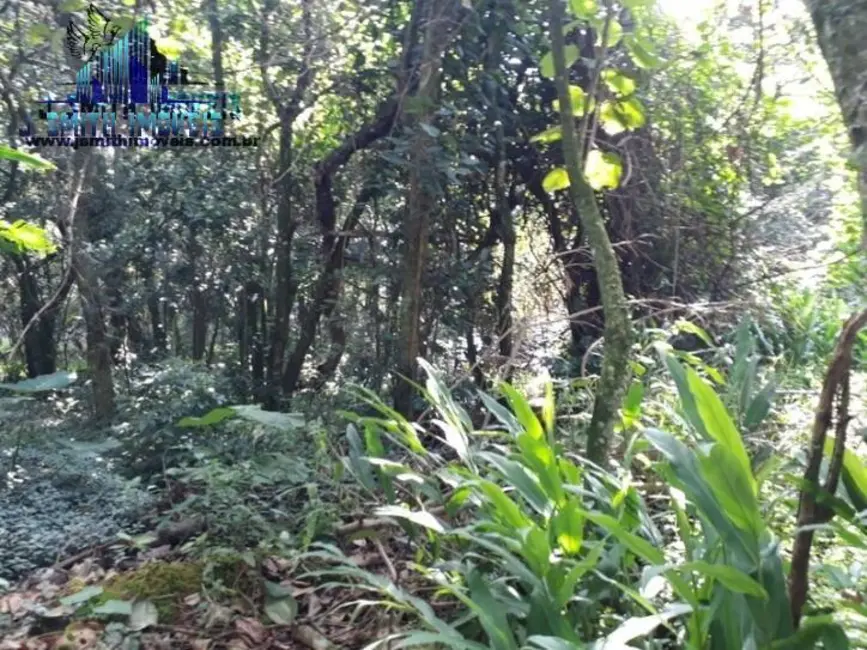 Foto 3 de Lote de Condomínio à venda, 525m2 em Gramado, Cotia - SP