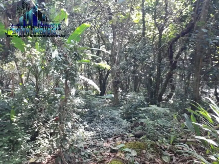 Foto 2 de Lote de Condomínio à venda, 525m2 em Gramado, Cotia - SP