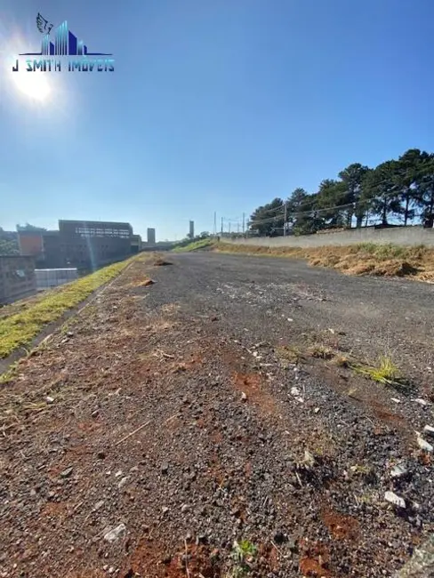 Foto 5 de Terreno / Lote para alugar, 5700m2 em Jardim Mutinga, Barueri - SP