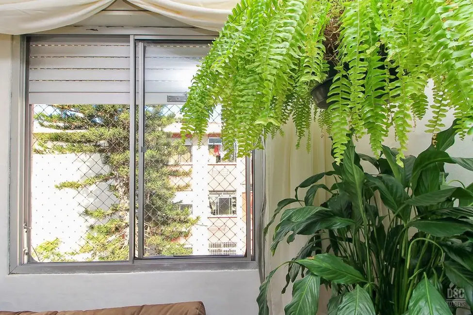 Apartamento com 3 quartos à venda, 60m2 em Vila Nova, Porto Alegre - RS - imagem 4 Foto 4 de Apartamento com 3 quartos à venda, 60m2 em Vila Nova, Porto Alegre - RS