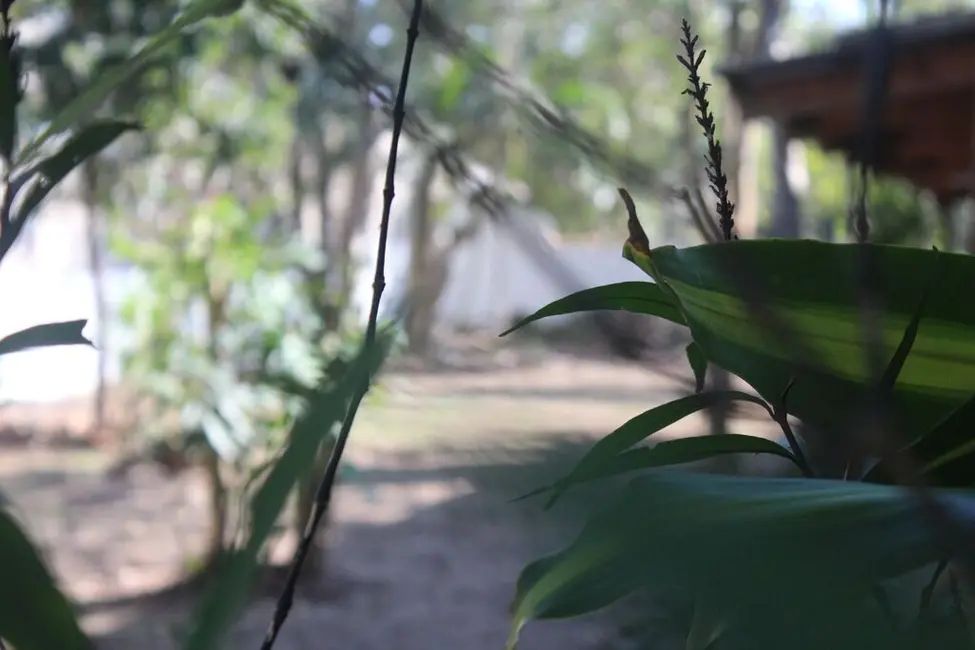 Foto 5 de Terreno / Lote à venda, 2085m2 em Tapera, Florianopolis - SC